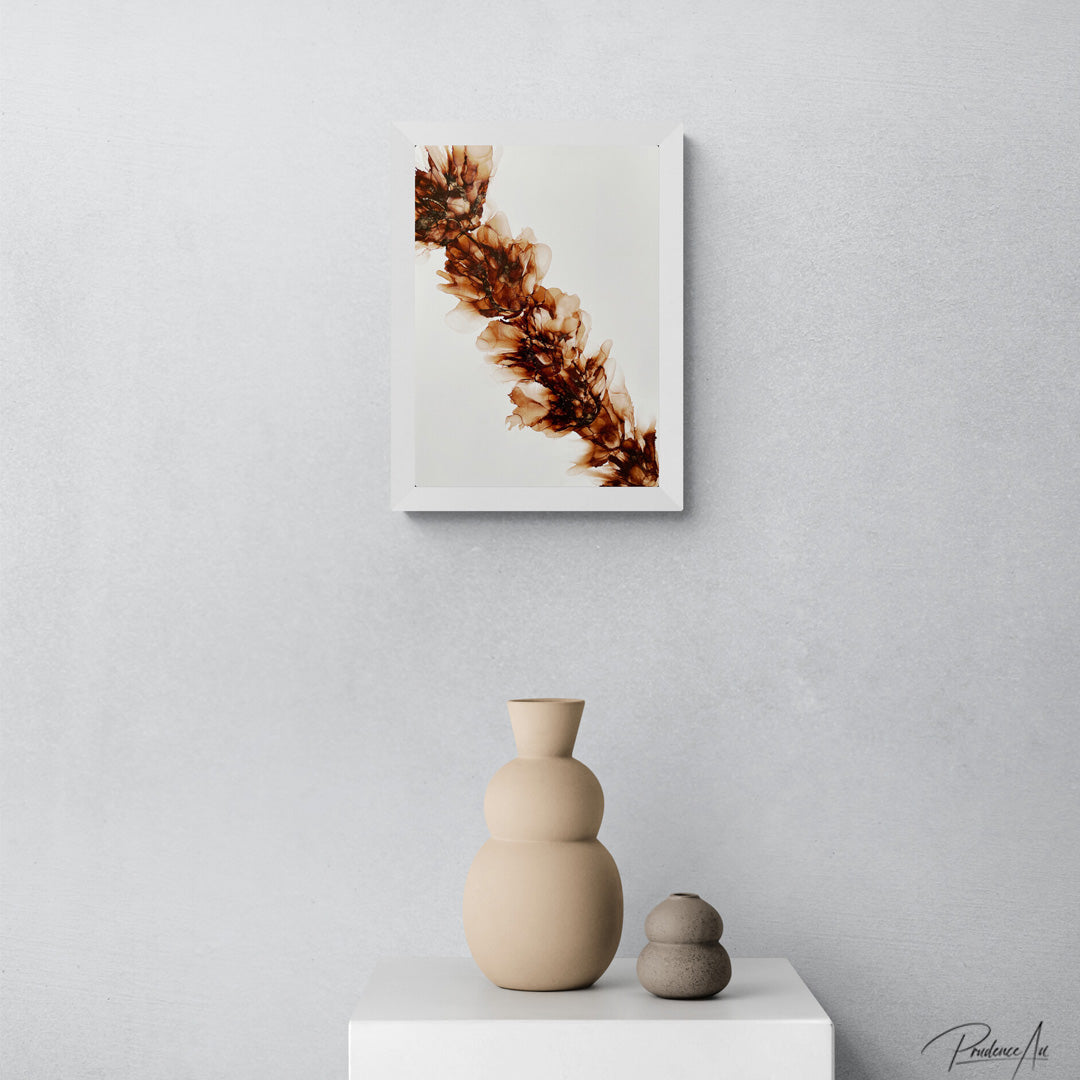 BLOSSOM OF AMBER LIGHT