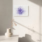 BLOSSOM - SERIES 5